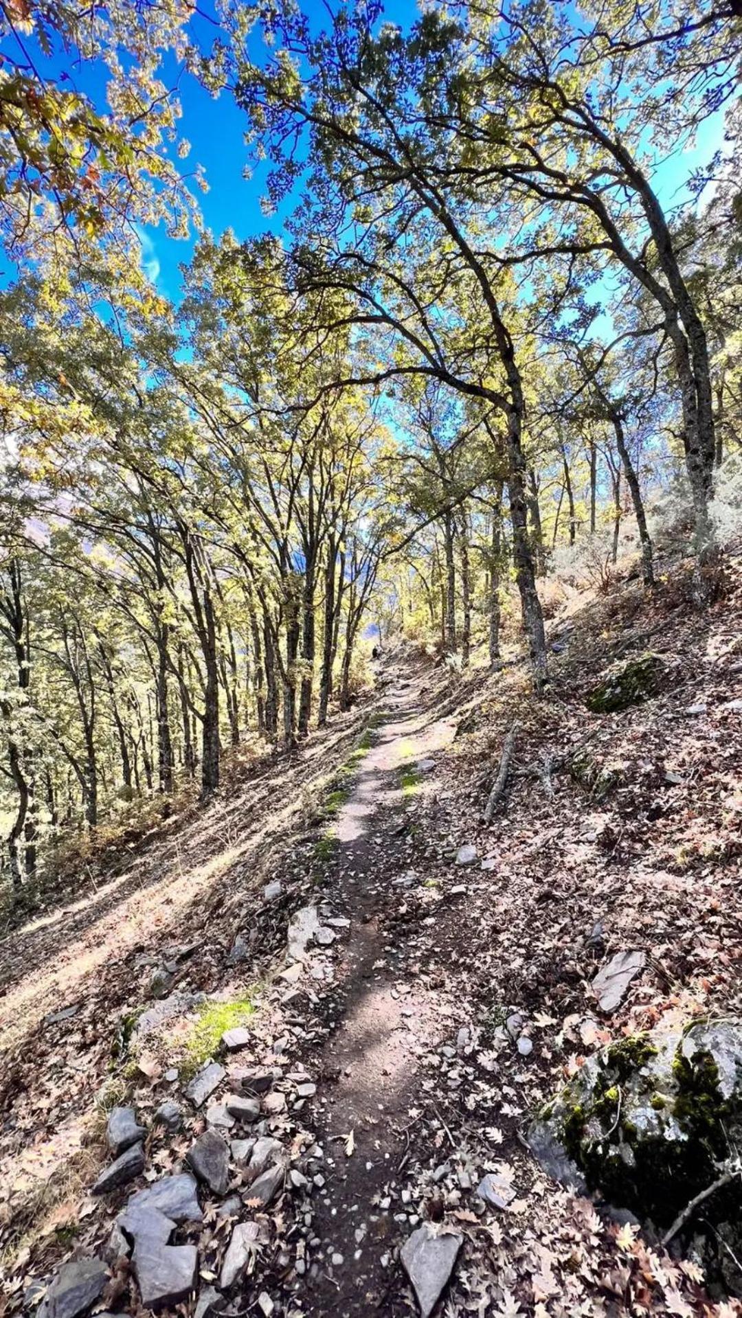 Casa A La Vera De La Sierra Vila Guejar Sierra Exterior foto